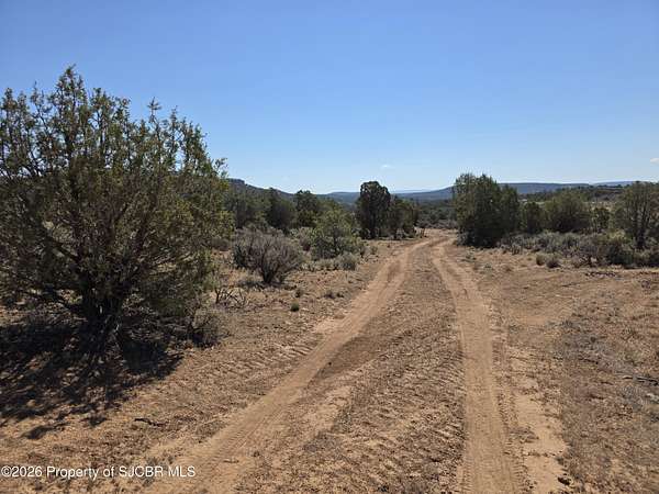 2.43 Acres of Land for Sale in Navajo Dam, New Mexico