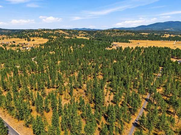 10 Acres of Recreational Land for Sale in Chattaroy, Washington