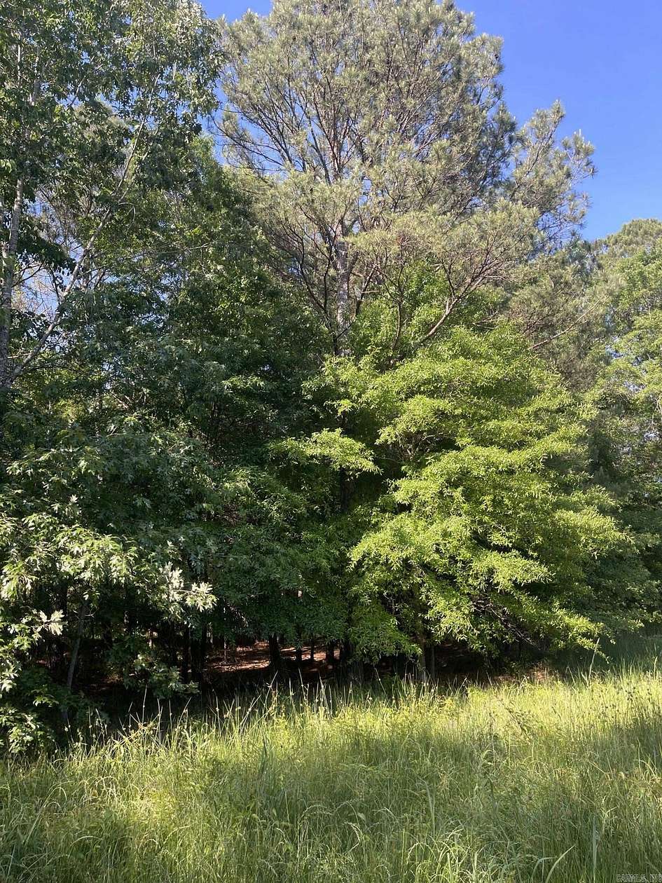 47.5 Acres of Recreational Land for Sale in Magnolia, Arkansas