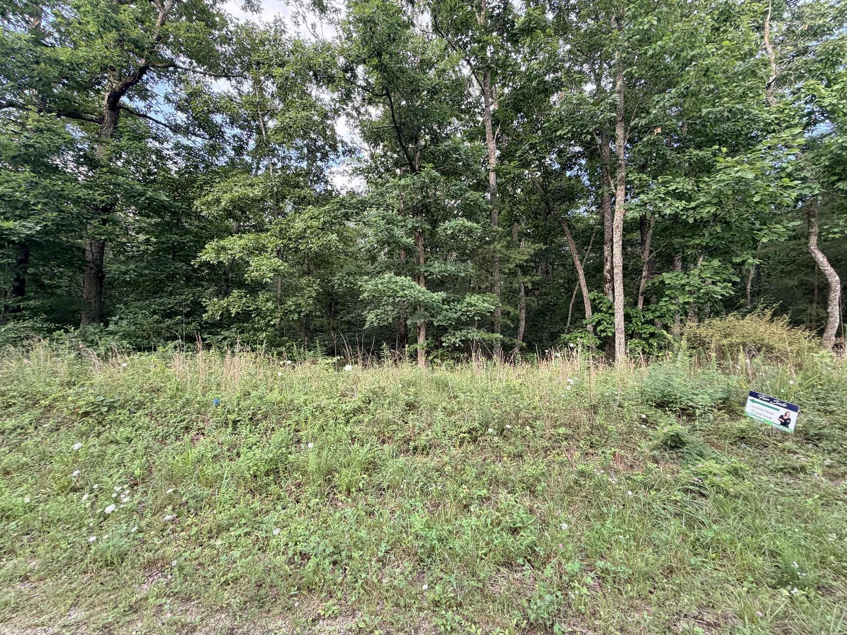 3.52 Acres of Residential Land for Sale in Pikeville, Tennessee