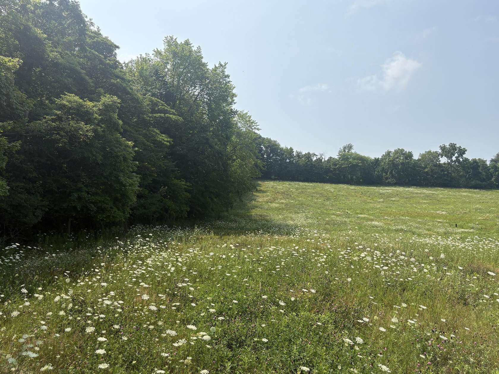 6.25 Acres of Land for Sale in Buchanan, Michigan