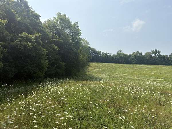 6.25 Acres of Land for Sale in Buchanan, Michigan
