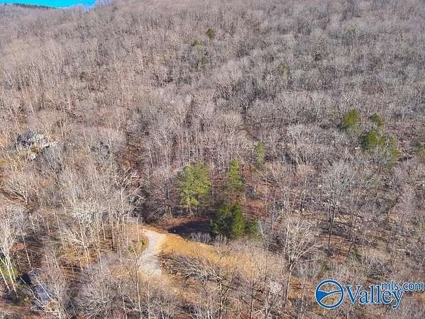 45 Acres of Recreational & Residential Land for Sale in Gurley, Alabama