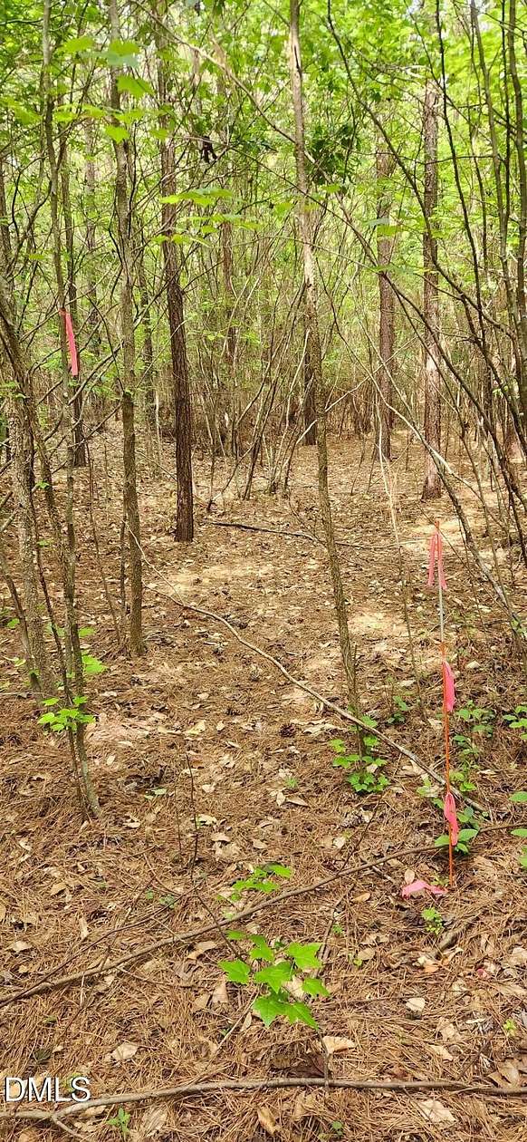 20.3 Acres of Land for Sale in Timberlake, North Carolina
