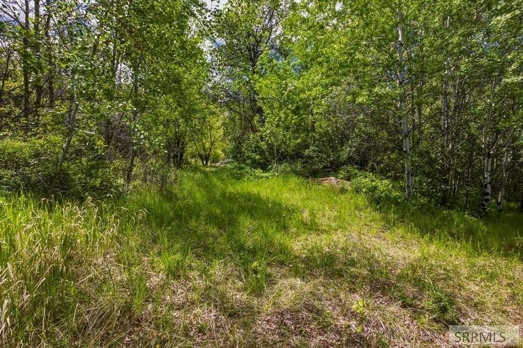 1.38 Acres of Residential Land for Sale in Salmon, Idaho