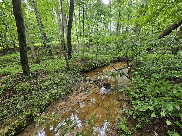 3.84 Acres of Residential Land for Sale in Tracy City, Tennessee
