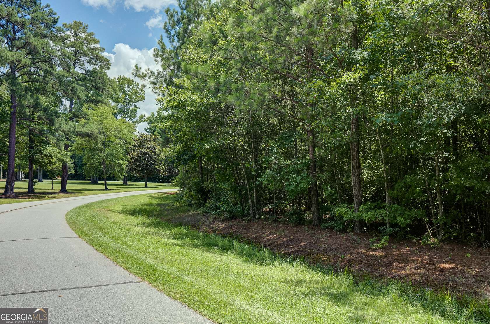 24.7 Acres of Recreational & Residential Land for Sale in Sharpsburg, Georgia