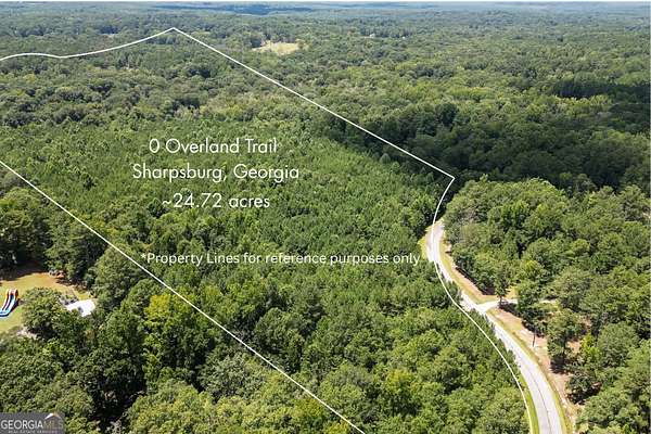 24.7 Acres of Recreational & Residential Land for Sale in Sharpsburg, Georgia