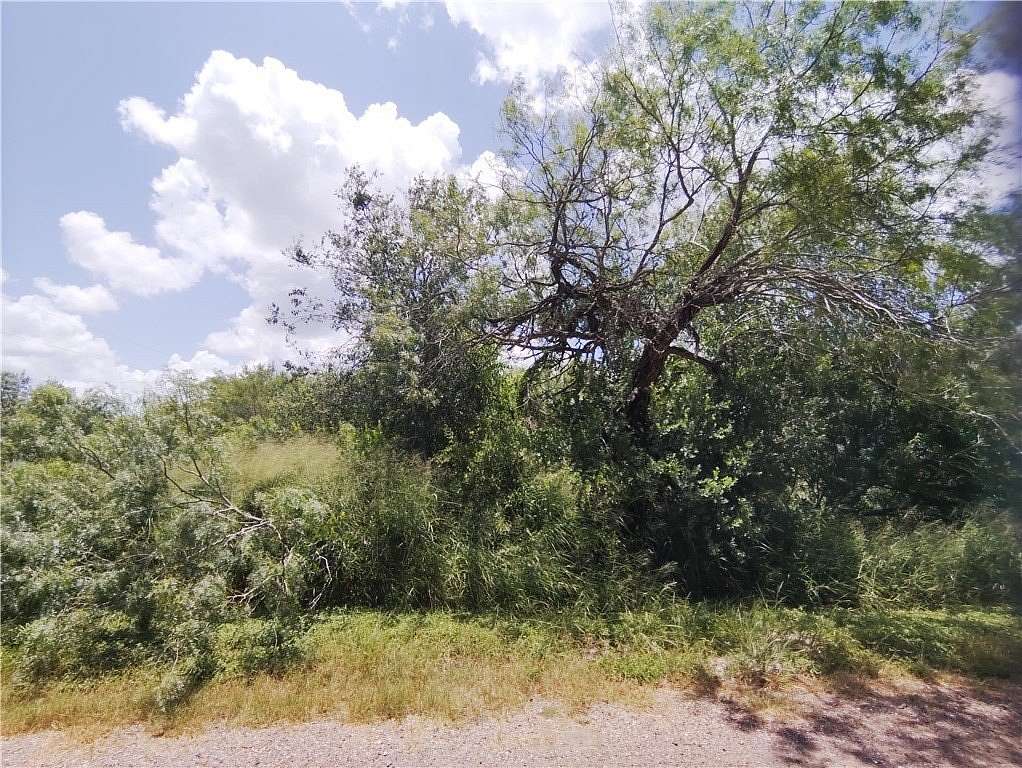 0.18 Acres of Land for Sale in Sandia, Texas