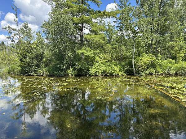 2.4 Acres of Land for Sale in Baldwin, Michigan