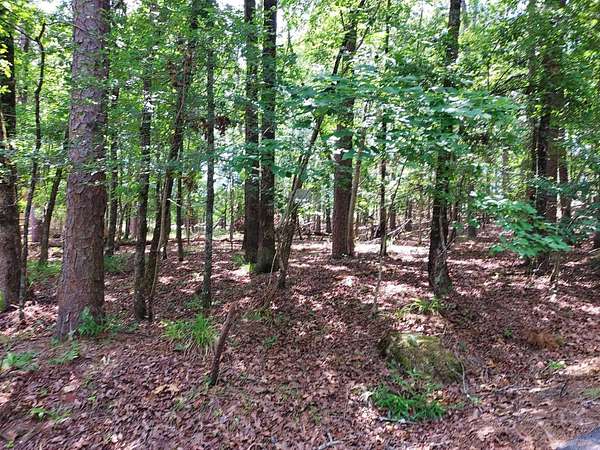0.24 Acres of Residential Land for Sale in Hot Springs Village, Arkansas