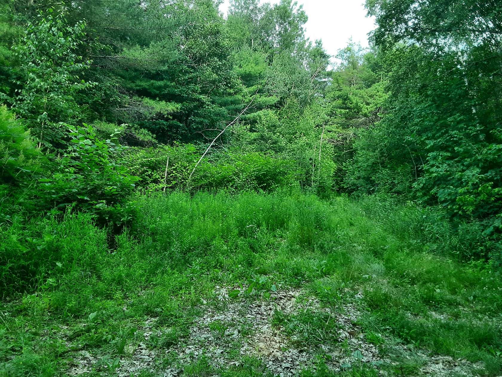 3.8 Acres of Residential Land for Sale in Jefferson, Maine