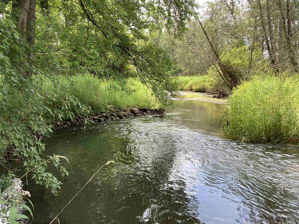 15 Acres of Land for Sale in Rose City, Michigan