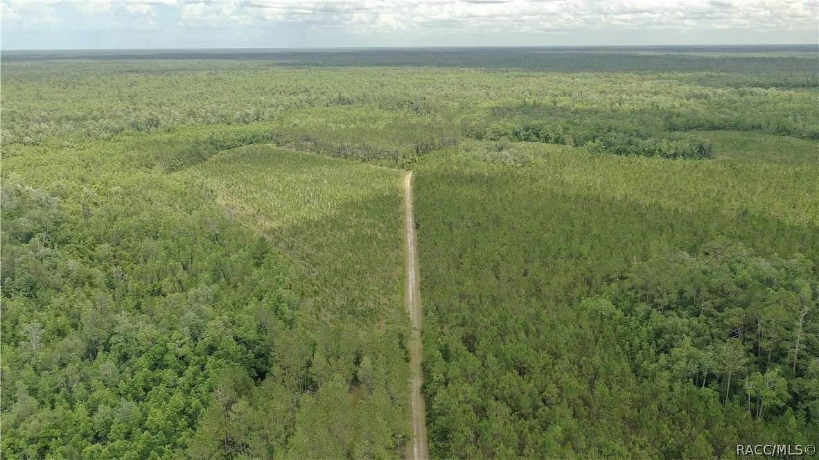 1,640 Acres of Land for Sale in Lake City, Florida