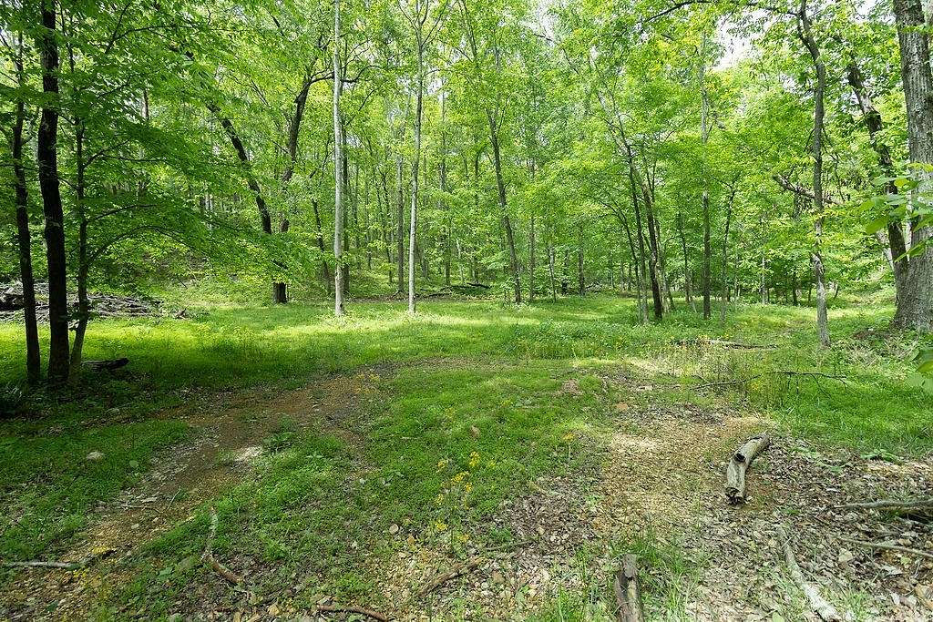 10.7 Acres of Recreational & Residential Land for Sale in Dickson, Tennessee