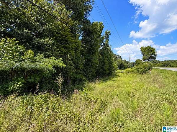11 Acres of Commercial Land for Sale in Riverside, Alabama