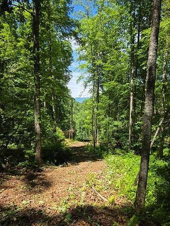 2.22 Acres of Residential Land for Sale in Sylva, North Carolina