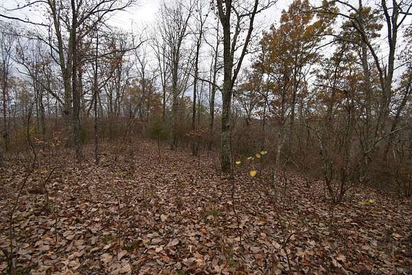 4.53 Acres of Residential Land for Sale in Lobelville, Tennessee