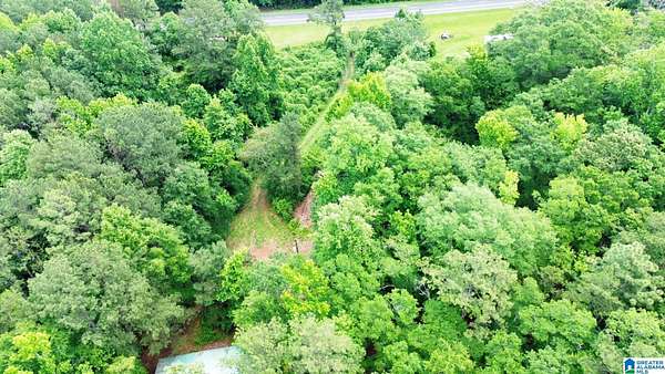 4 Acres of Residential Land for Sale in Goodwater, Alabama