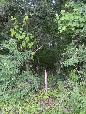 2 Acres of Residential Land for Sale in Friendsville, Tennessee