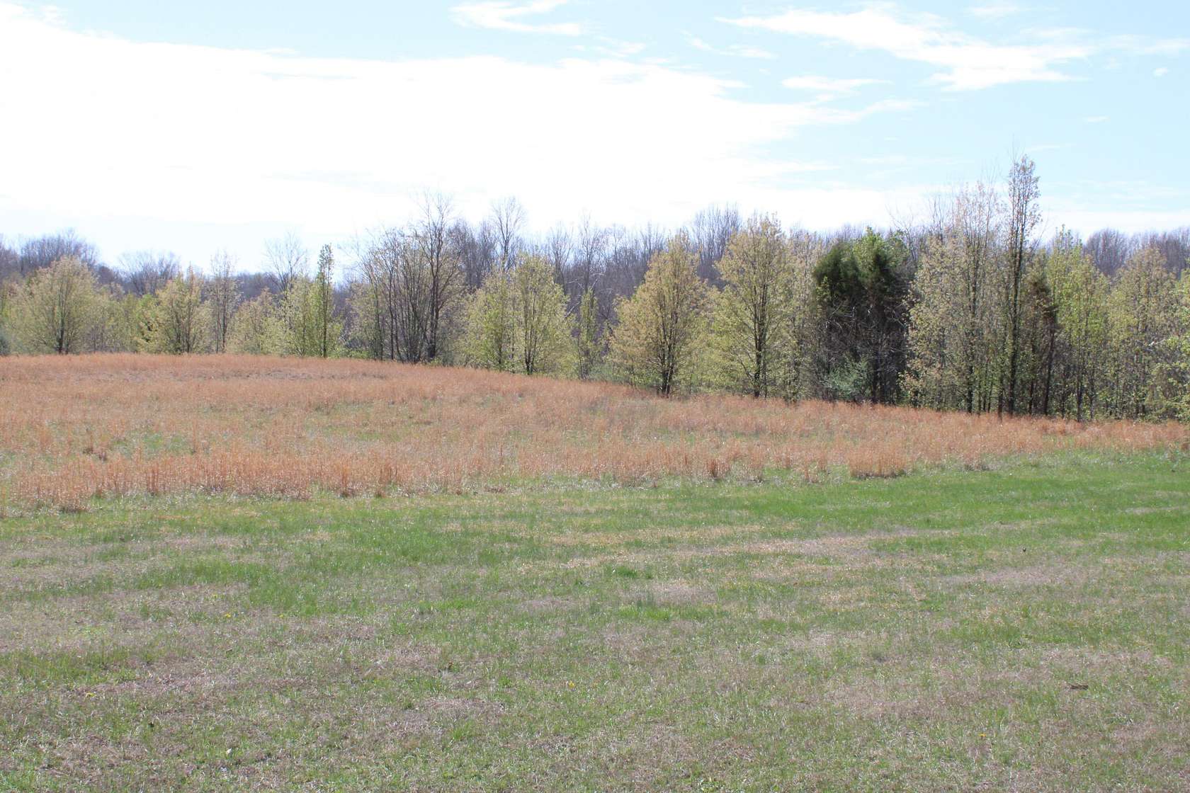 2.69 Acres of Land for Sale in Kuttawa, Kentucky
