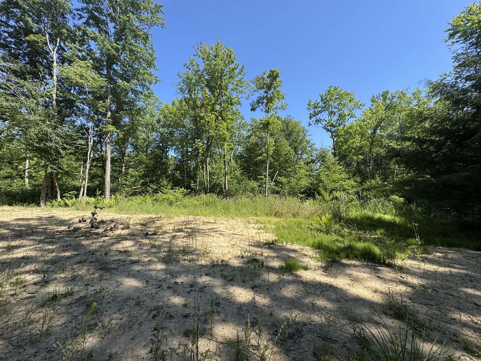 5 Acres of Residential Land for Sale in Grand Junction, Michigan