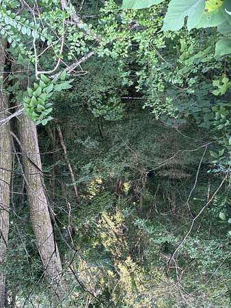 0.78 Acres of Residential Land for Sale in Rossville, Georgia