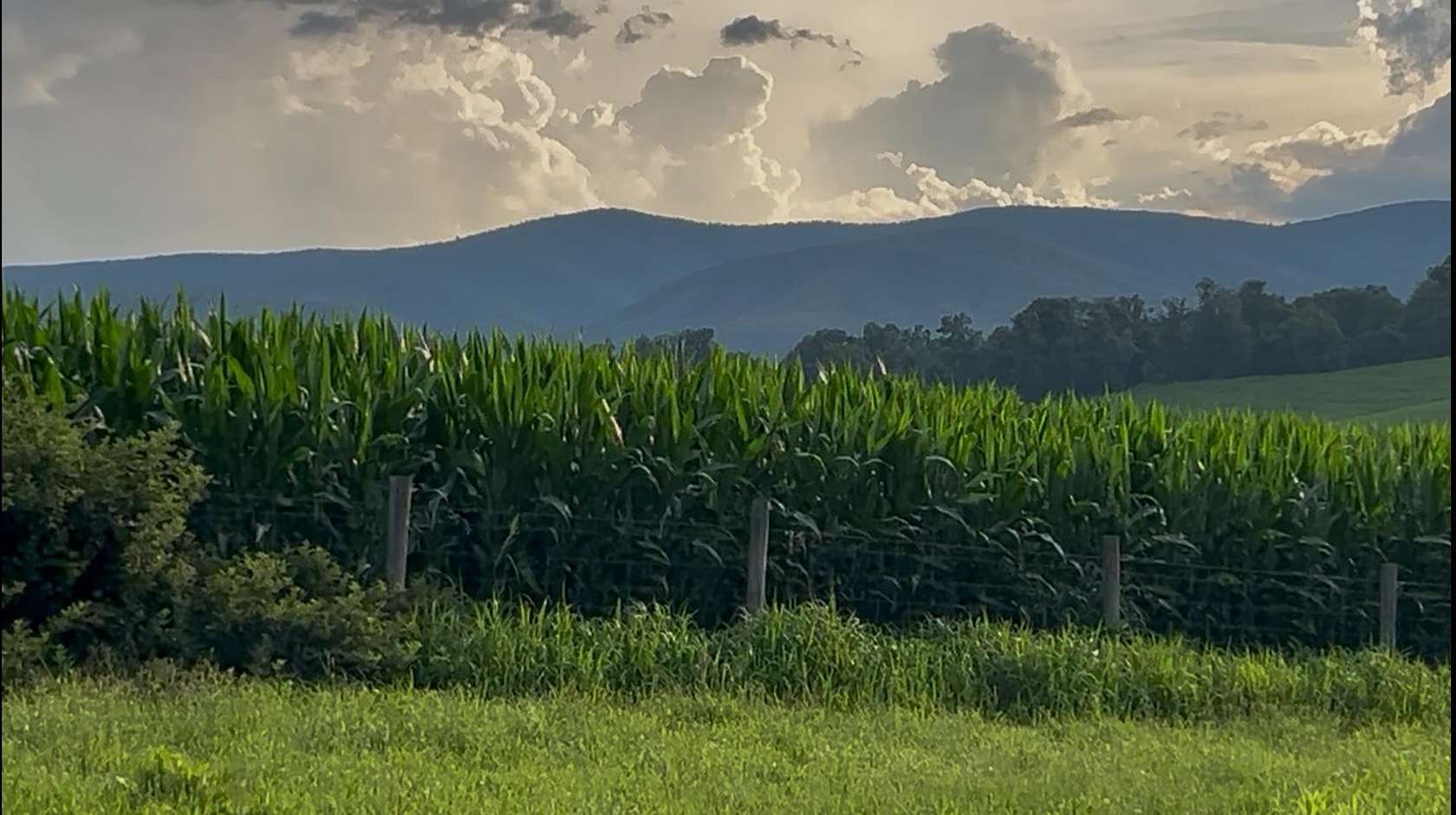 3.75 Acres of Residential Land for Sale in Churchville, Virginia