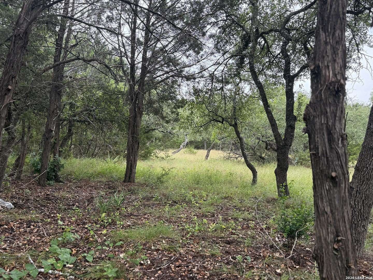 1 Acre of Residential Land for Sale in Bulverde, Texas