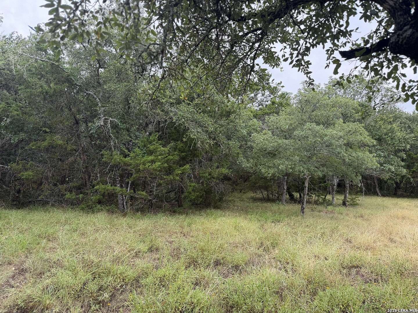 1 Acre of Residential Land for Sale in Bulverde, Texas