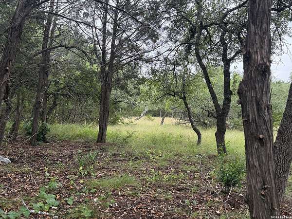 1 Acre of Residential Land for Sale in Bulverde, Texas