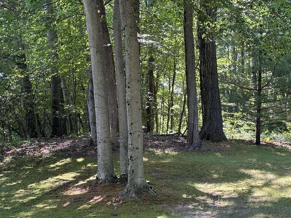 3 Acres of Residential Land for Sale in Newaygo, Michigan