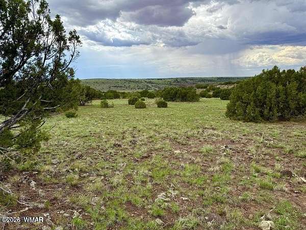 1.17 Acres of Residential Land for Sale in Concho, Arizona