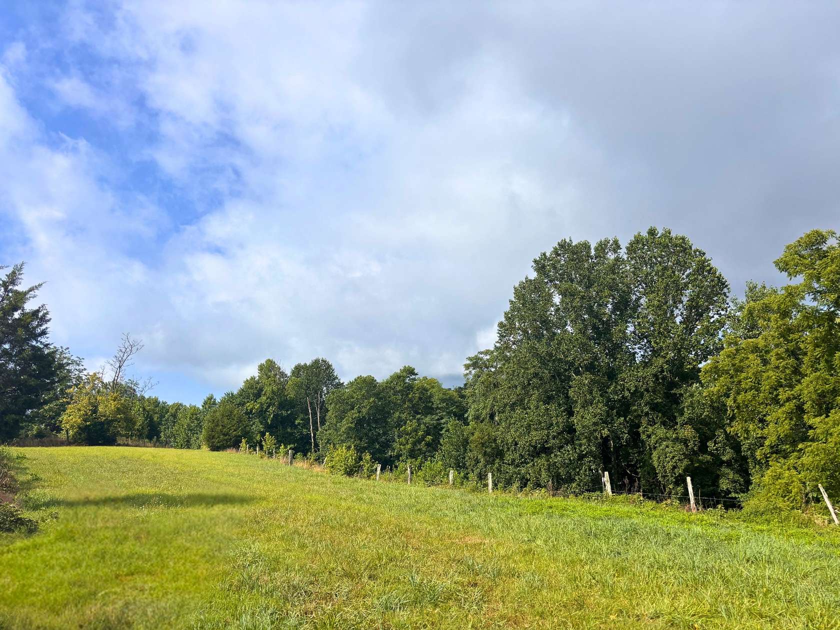 9.25 Acres of Residential Land for Sale in Chestnut Mound, Tennessee