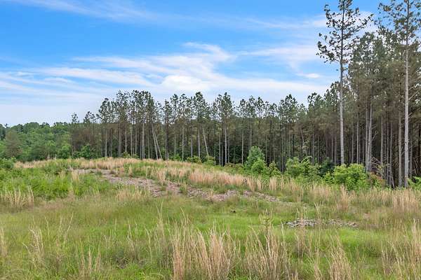 12.4 Acres of Recreational & Residential Land for Sale in Dover, Tennessee