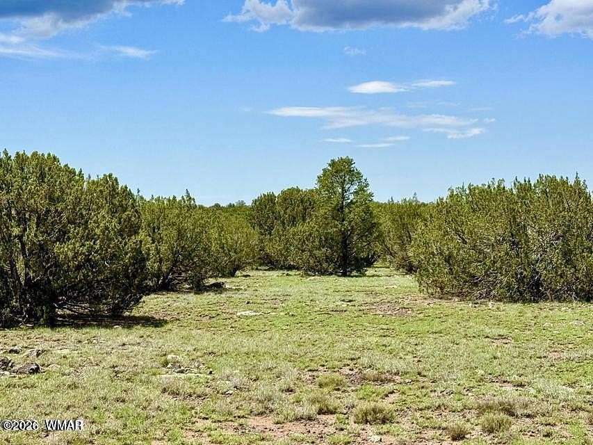 3.33 Acres of Residential Land for Sale in Concho, Arizona