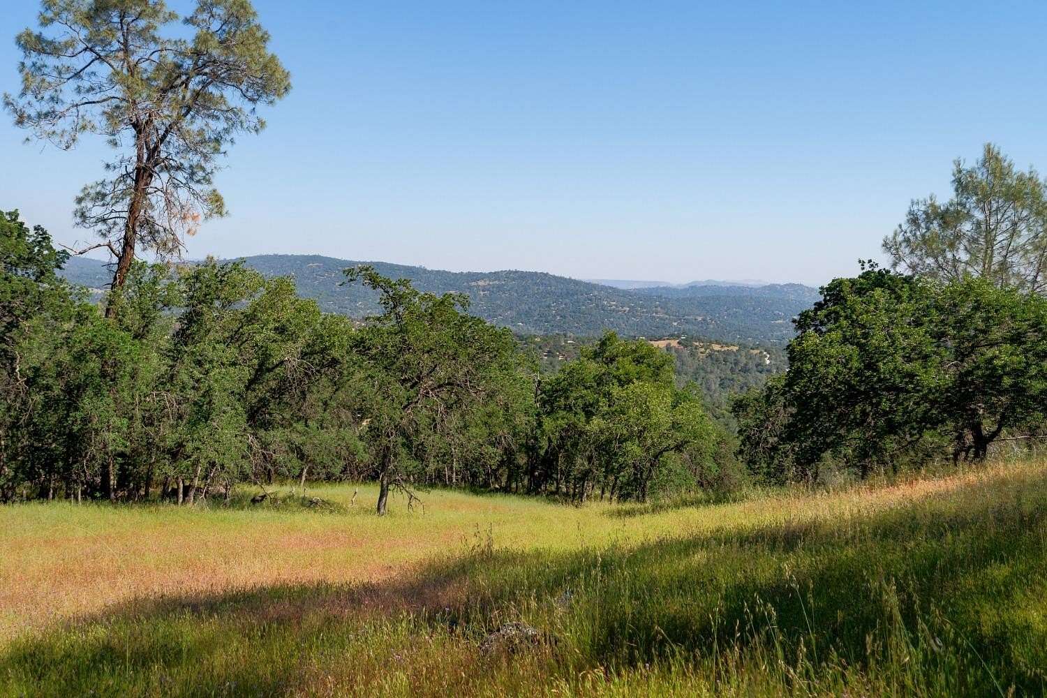 80 Acres of Recreational & Residential Land for Sale in Coarsegold, California