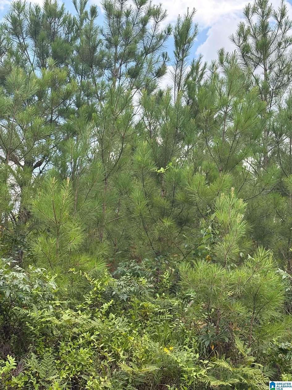 4.6 Acres of Land for Sale in Trafford, Alabama
