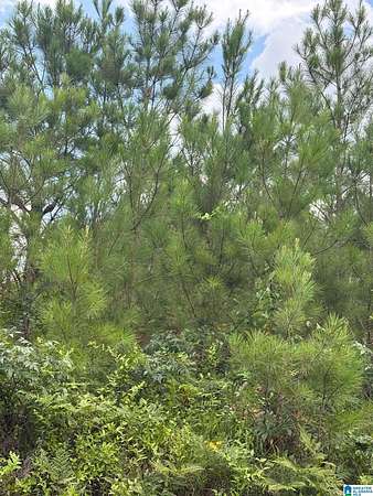4.6 Acres of Land for Sale in Trafford, Alabama