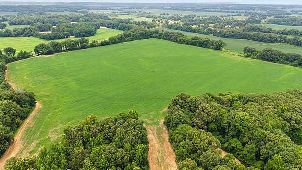 144 Acres of Land for Sale in Stanton, Tennessee