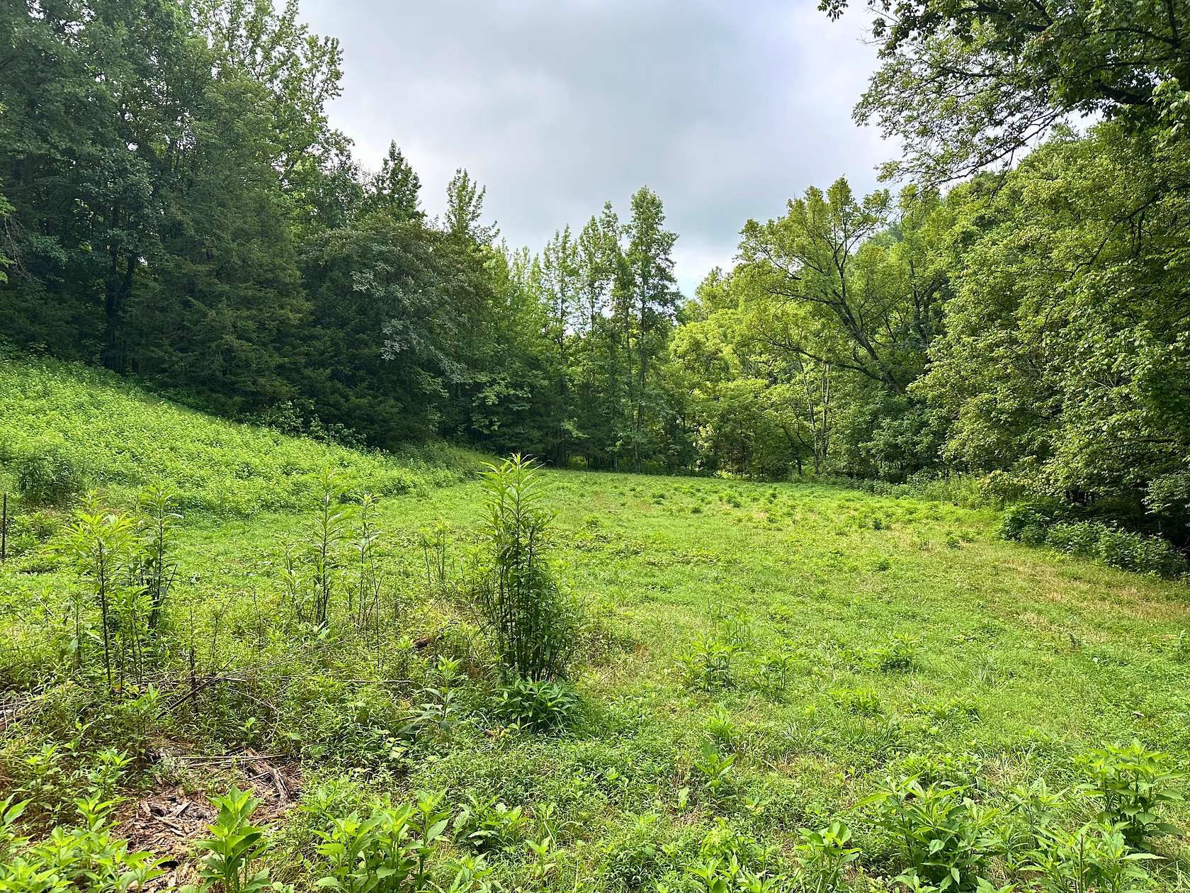 6.57 Acres of Residential Land for Sale in Buffalo Valley, Tennessee