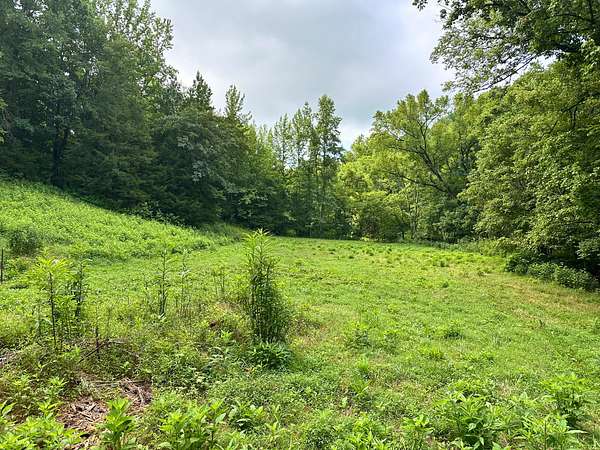 6.57 Acres of Residential Land for Sale in Buffalo Valley, Tennessee