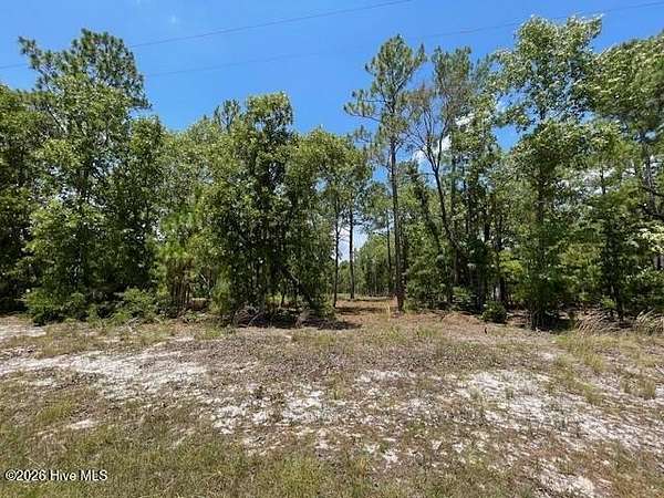 1.59 Acres of Residential Land for Sale in Currie, North Carolina