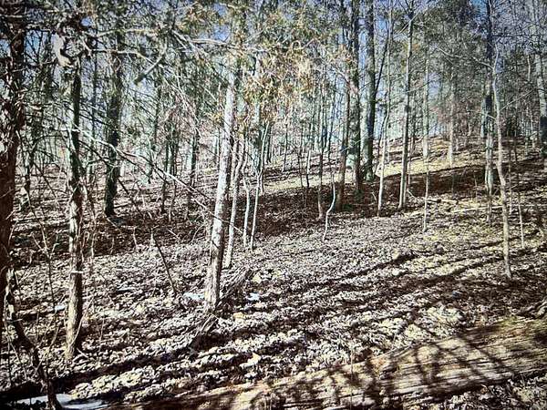 1.74 Acres of Residential Land for Sale in Cadiz, Kentucky