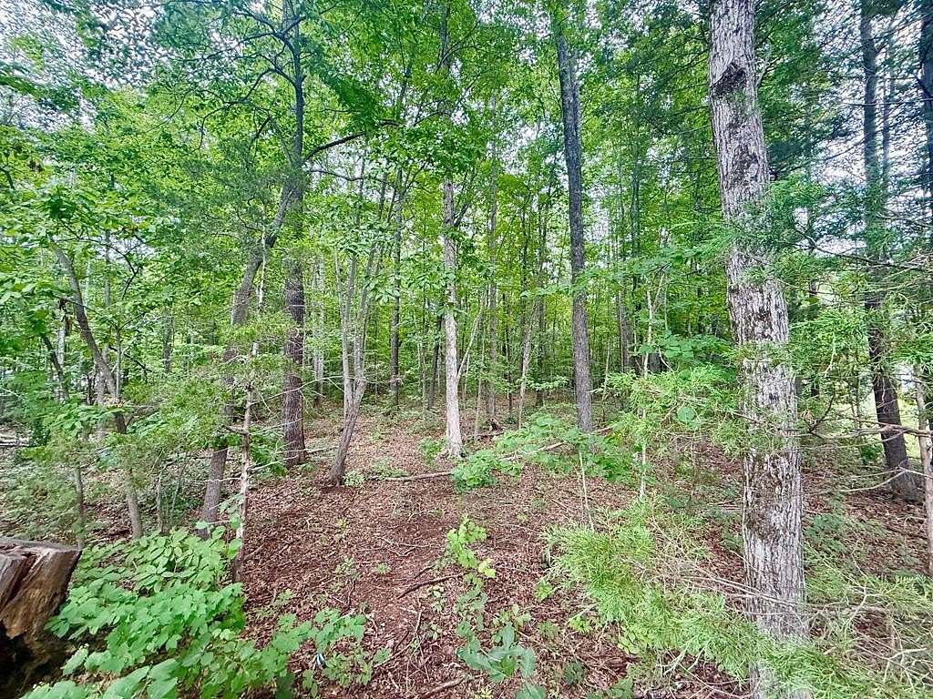 0.68 Acres of Land for Sale in Pamplin City, Virginia