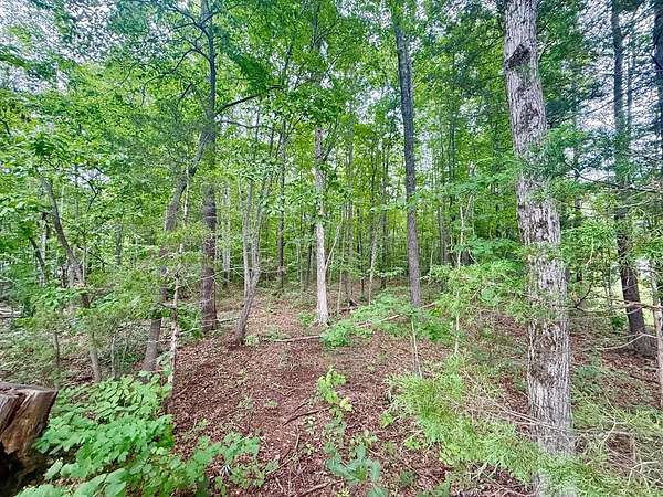 0.68 Acres of Land for Sale in Pamplin City, Virginia