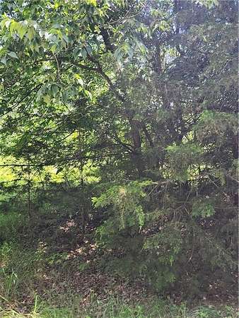 0.42 Acres of Land for Sale in Linn Valley, Kansas