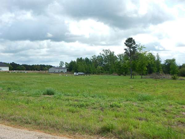 2.52 Acres of Land for Sale in Diana, Texas