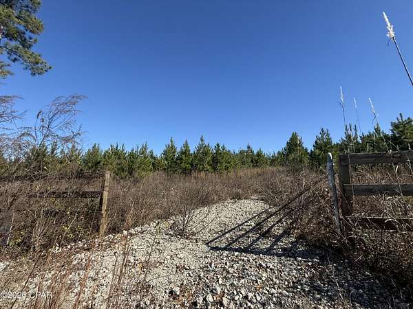 10 Acres of Land for Sale in Marianna, Florida