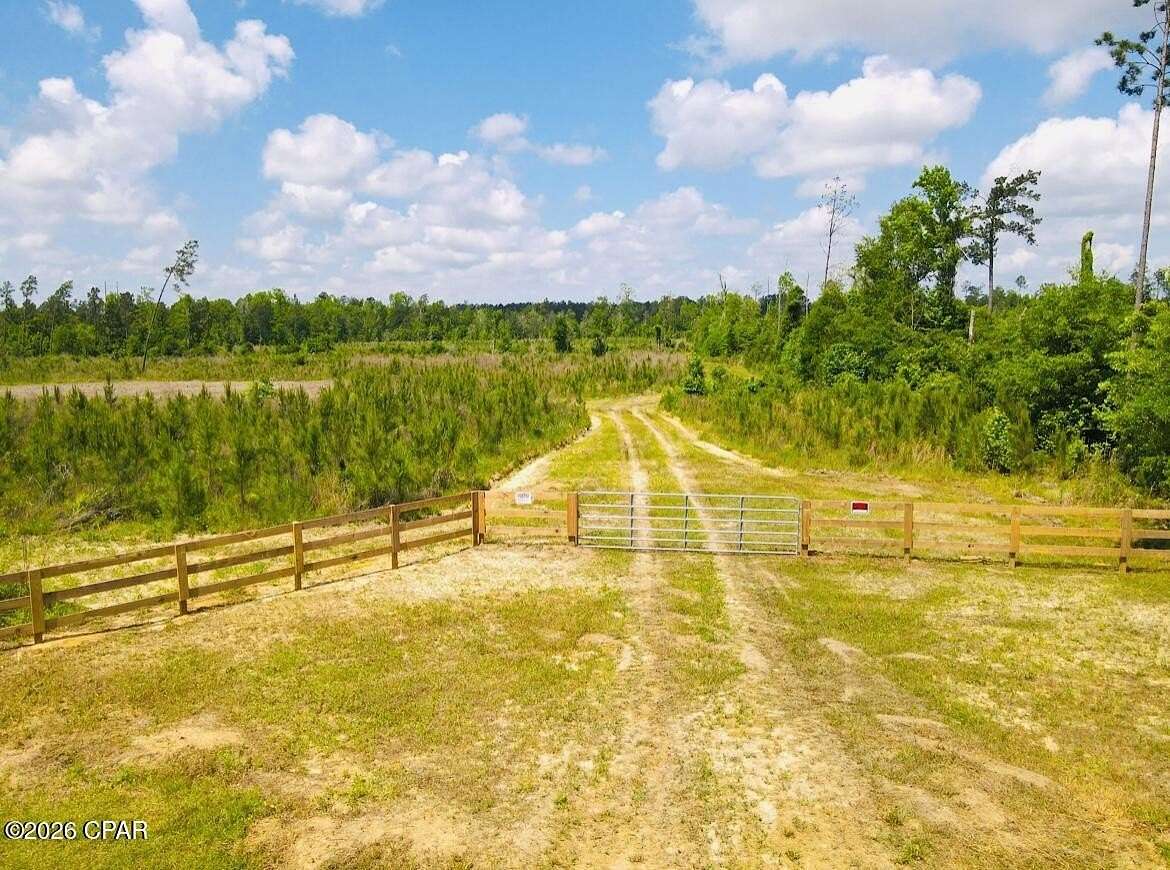59 Acres of Land for Sale in Sneads, Florida